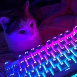 Discord Avatar